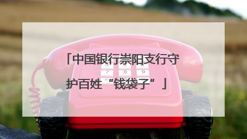 中国银行崇阳支行守护百姓“钱袋子”